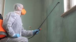 Why You Should Choose Our Mold Remediation Services in Oronogo, MO