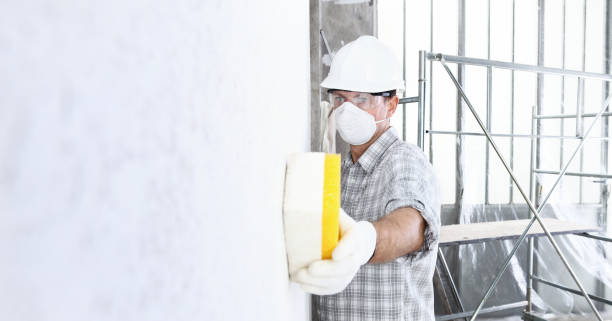 Best Mold Damage Restoration  in Oronogo, MO