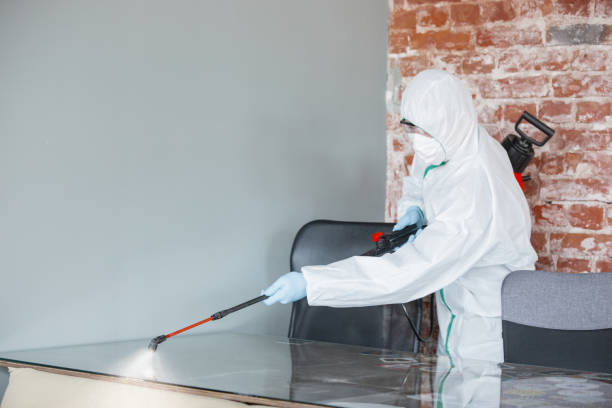 Best Mold Removal for HVAC Installations  in Oronogo, MO