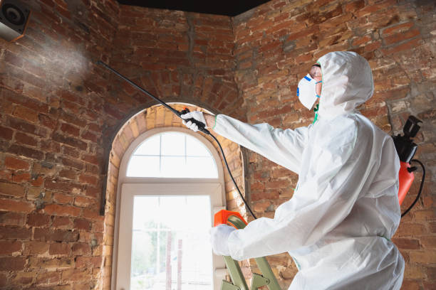 Best Environmental Consulting for Mold Prevention  in Oronogo, MO